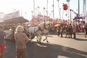 IMG_1511 