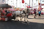 IMG_1514 