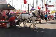 IMG_1515 