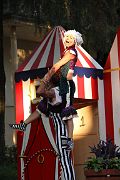 IMG_2224 