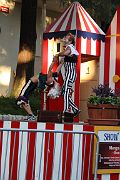 IMG_2228 
