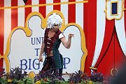 IMG_2231 