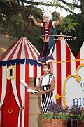 IMG_2334 