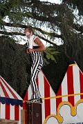 IMG_2356 