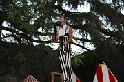 IMG_2390 