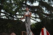 IMG_2391 