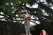 IMG_2392 
