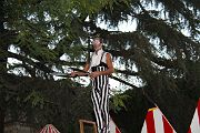 IMG_2393 