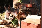 IMG_0062 