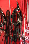 IMG_0074 