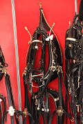 IMG_0079 