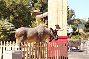 IMG_0114 