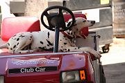 IMG_0331 