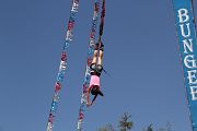 IMG_1557 