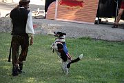 IMG_2946 