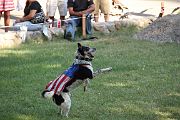 IMG_2949 