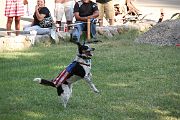 IMG_2951 
