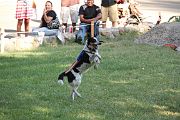 IMG_2952 