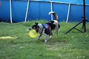 IMG_2956 