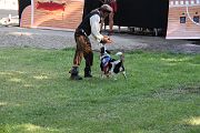 IMG_2964 