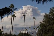 IMG_3007 