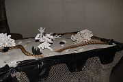 IMG_3979 