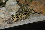 IMG_3990 