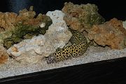IMG_3992 
