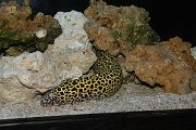 IMG_3996 