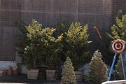 IMG_0175 