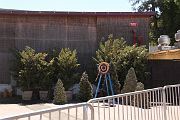 IMG_0194 