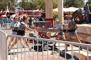 IMG_0212 