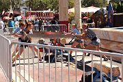 IMG_0214 