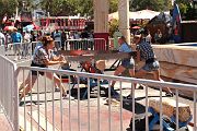 IMG_0216 