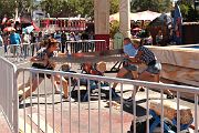 IMG_0217 