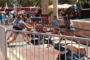 IMG_0221 