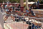 IMG_0224 