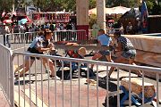 IMG_0225 