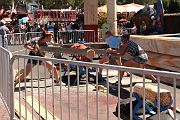 IMG_0229 
