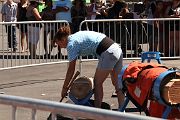 IMG_0233 