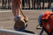 IMG_0243 