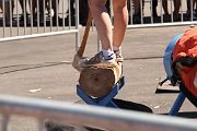 IMG_0249 