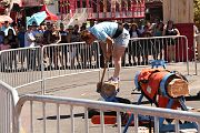 IMG_0252 