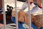 IMG_0254 