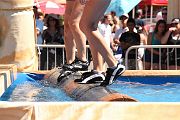 IMG_0289 