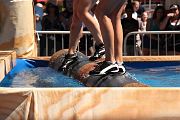 IMG_0291 