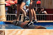 IMG_0294 