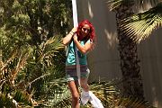 IMG_0431 