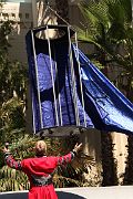 IMG_0461 