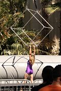 IMG_0478 